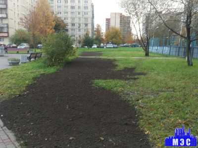 Благоустройство территории после земляных работ